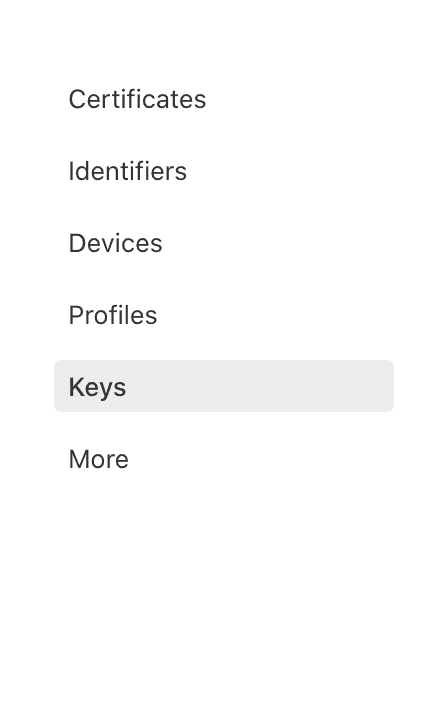 developer portal keys