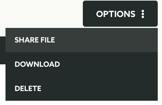 options share