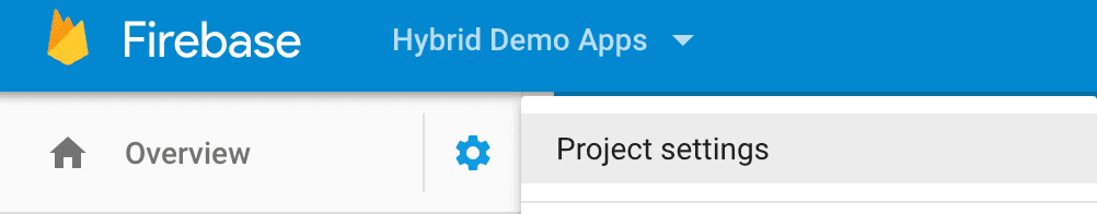 firebase developer console cog menu